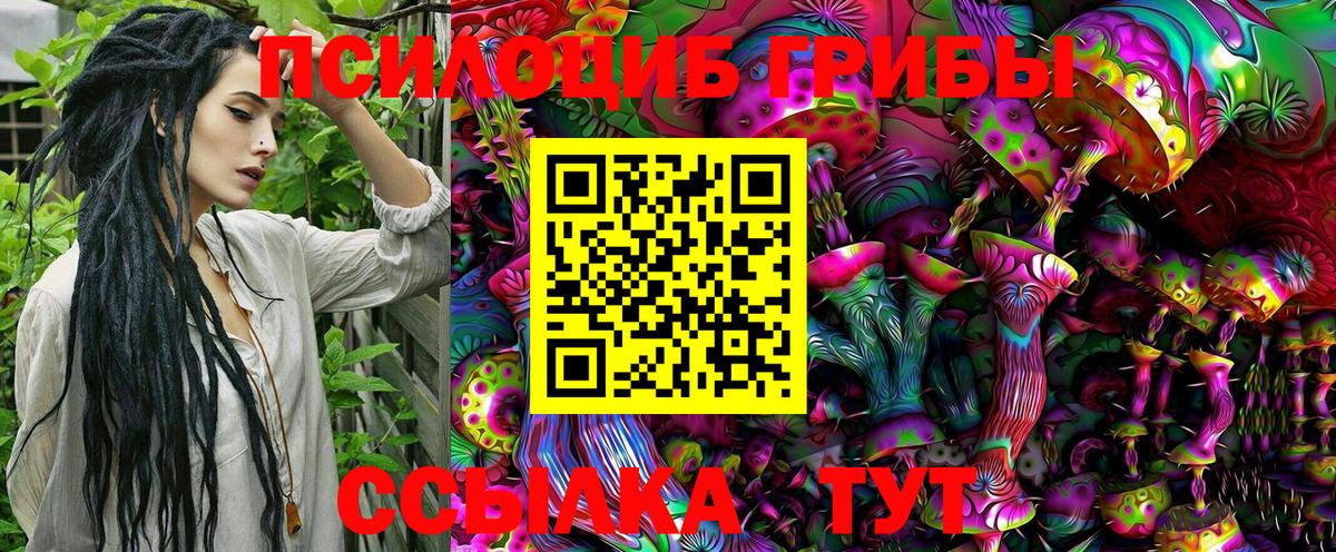 Галлюциногенные грибы Cubensis Новокубанск